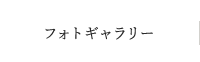 フォトギャラリー